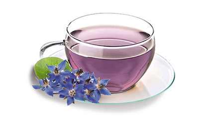 Borage Tea Benefits