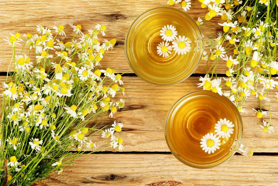 What are the benefits of Chamomile Tea?
